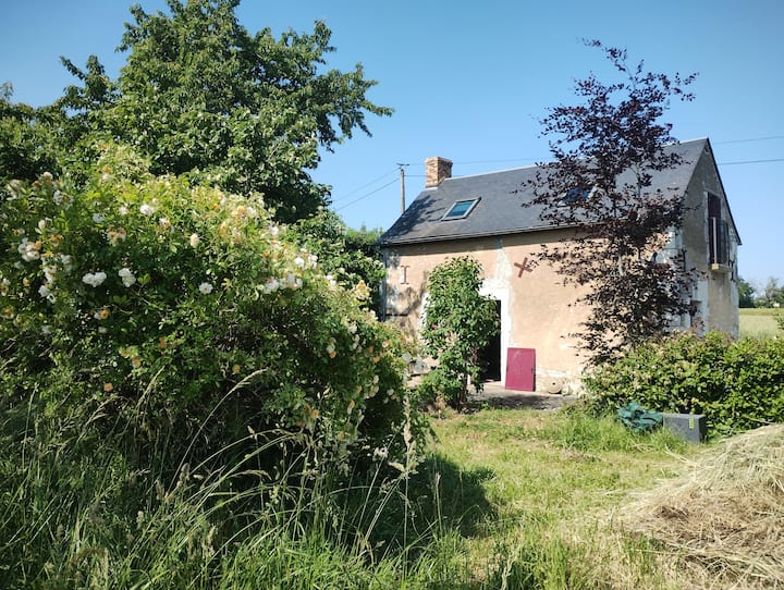 Petite Maison Rustique - Le Lude