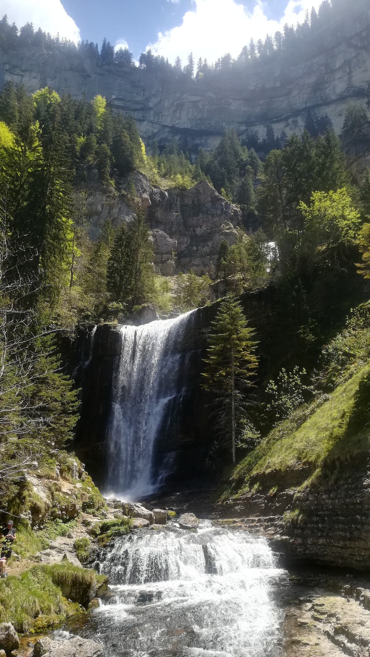 A majestic waterfall cascades down rocky cliffs, surrounded by lush greenery. Tall trees frame the scene, and sunlight filters through the branches, illuminating the water as it splashes over boulders. The tranquil sound of flowing water enhances the serene natural landscape.