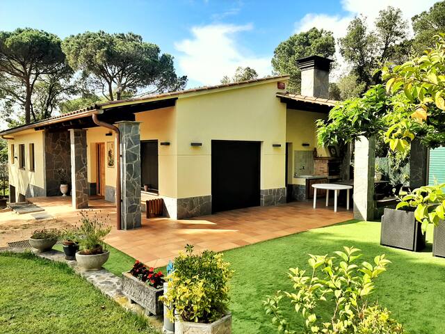 King Park 7880 gallery image 4