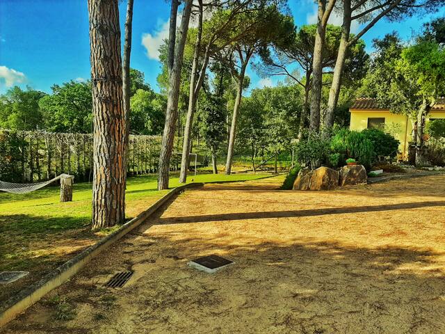 King Park 7880 gallery image 5