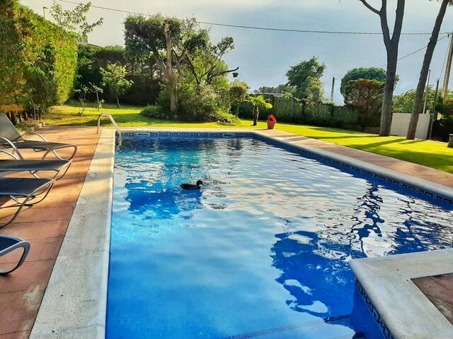 King Park 7880 gallery image 3