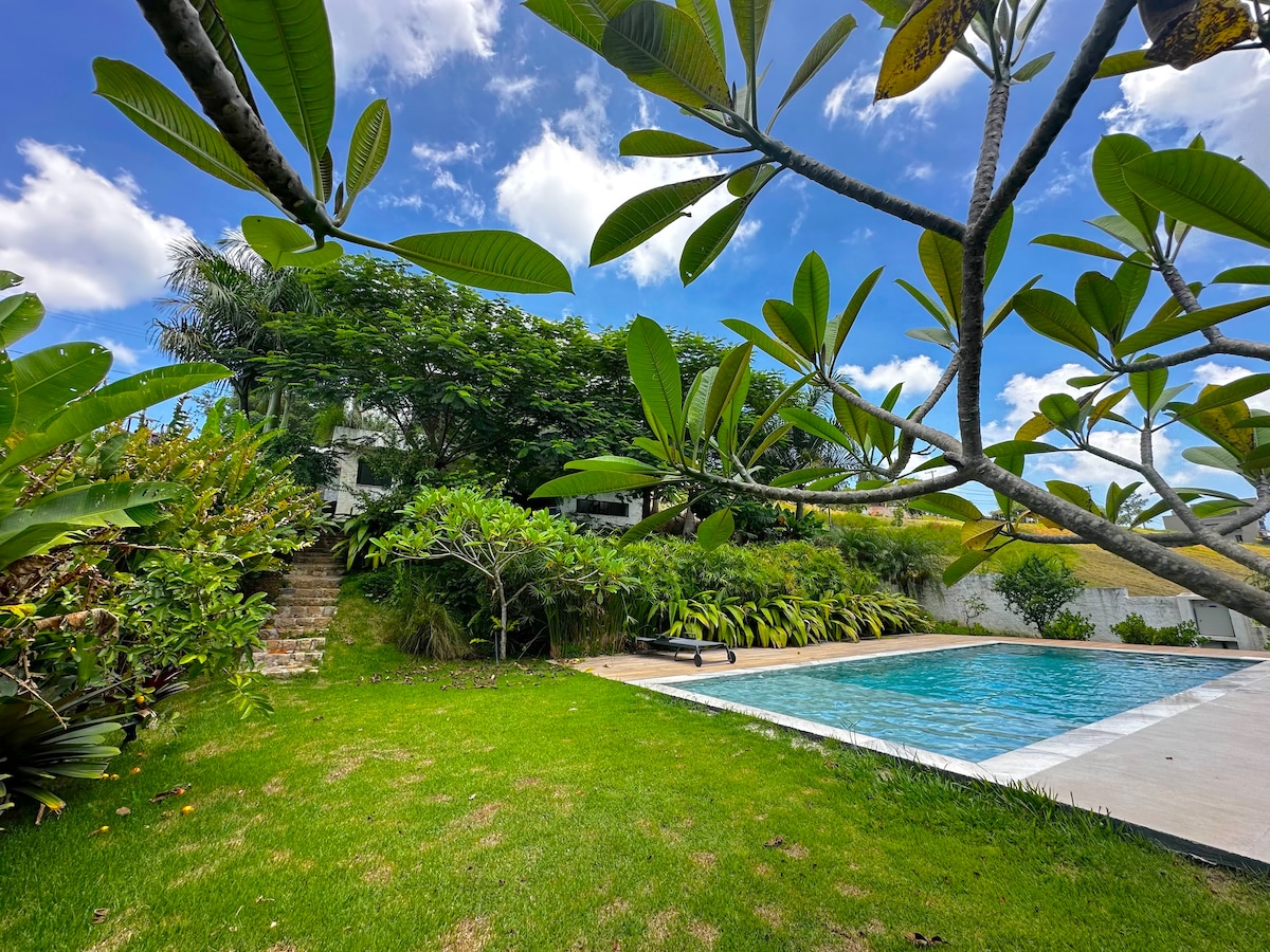 A view of the outdoor area features a swimming pool surrounded by well-maintained greenery. Lush plants frame the pool area, while a staircase leads up to the house, which is partly hidden by the foliage under a bright sky.