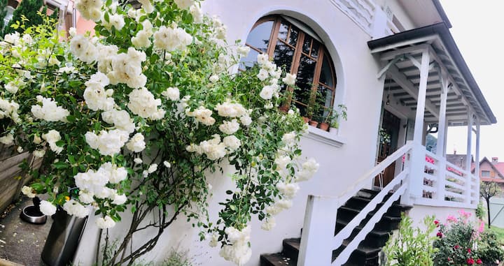Maison De Charme Avec Piscine Près Du Lac - Annecy