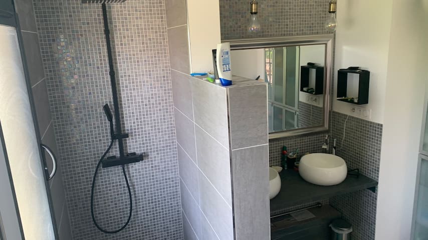 large house with swimming pool gallery image 4