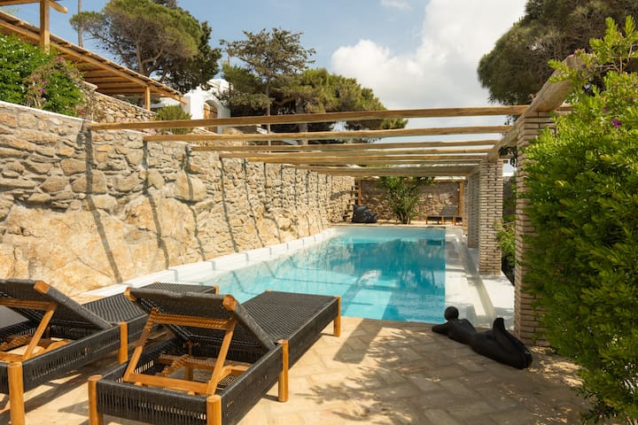 Βaroness | Mykonos town | Private pool & garden