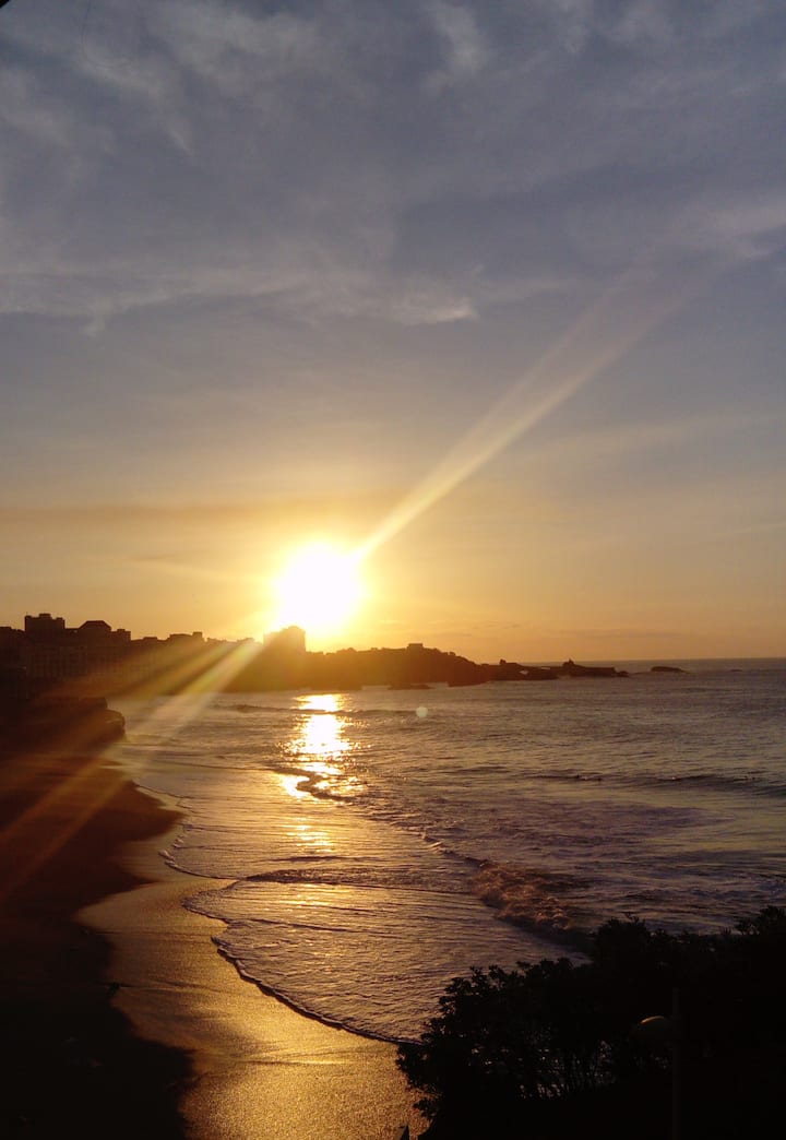 Ravissant Appartement, 800 M Plage Et Centre Ville - Biarritz