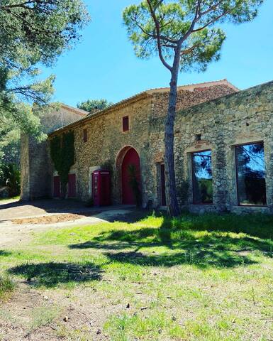 Torre Bertrana, Masía histórica entre viñas gallery image 2