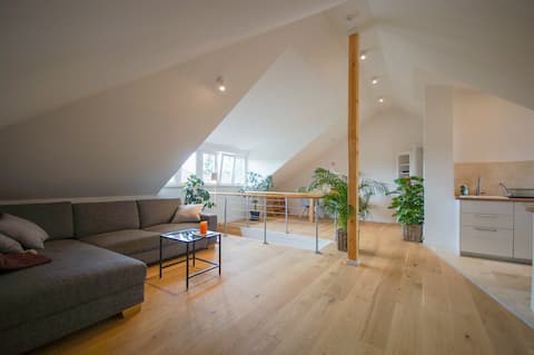 Modern and bright apartment in loft style