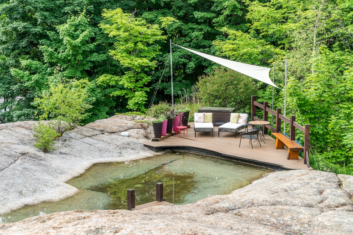A natural swimming pool is surrounded by granite, featuring a wooden deck with a lounging area. Comfortable seating and a table can be seen, complemented by shade from a fabric canopy. Lush greenery from nearby trees adds a tranquil backdrop.