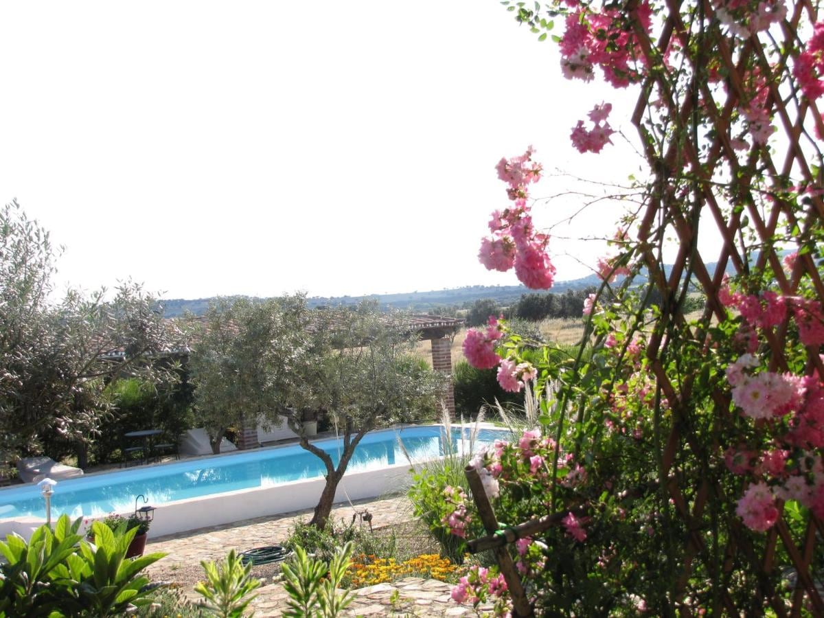 A view of a tranquil pool surrounded by lush gardens and olive trees, framed by blooming flowers. The serene landscape stretches into the distance, capturing the peaceful essence of the countryside.