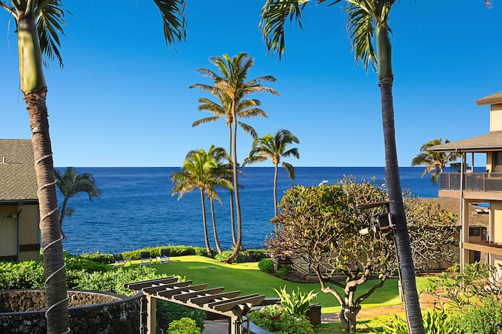 Upgraded ocean view condo!