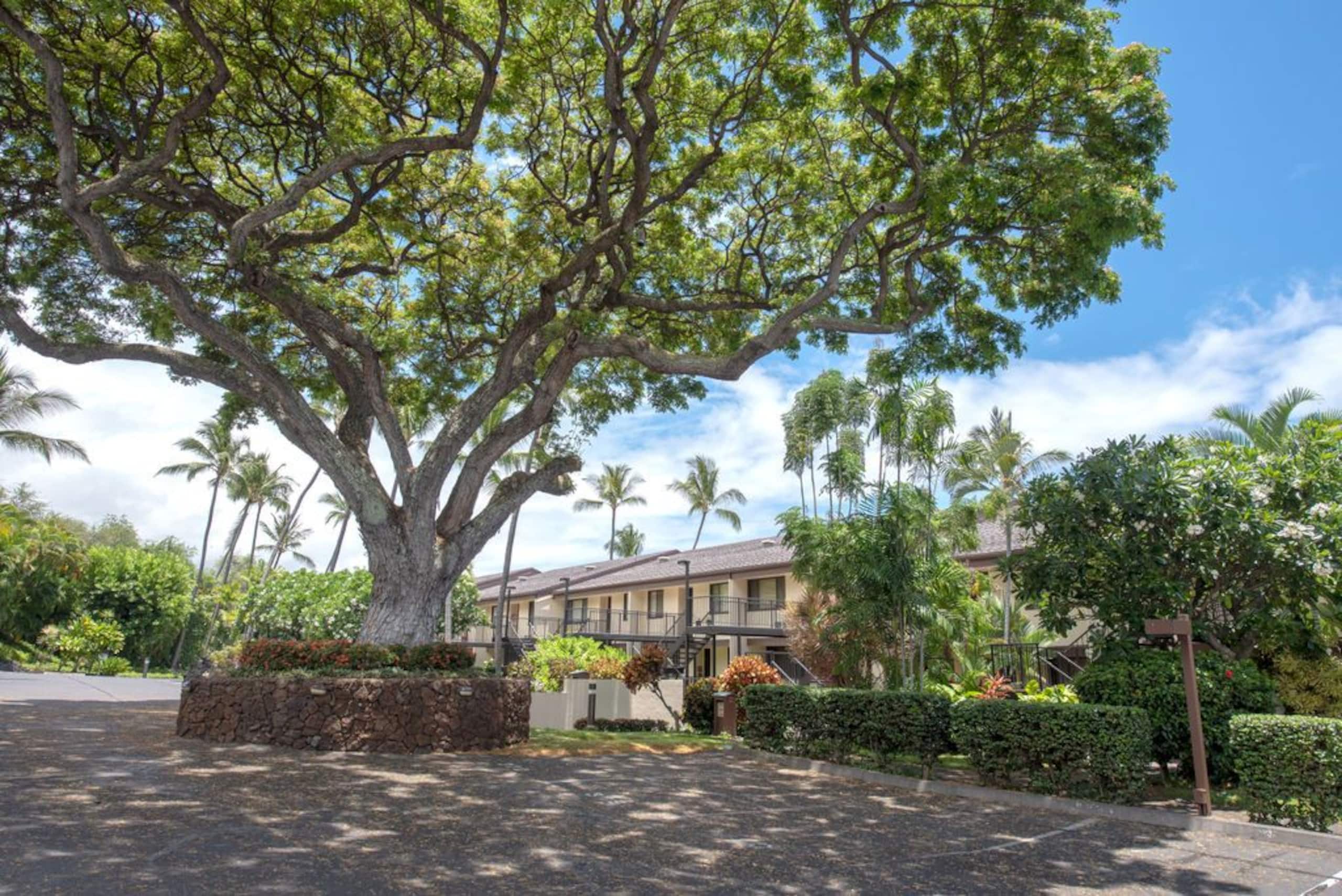 Condo in Kailua-Kona · ★4.29 · 2 bedrooms · 3 beds · 2 baths - Image 13