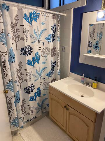 The Largest Flat in Frisco: Kings Landing! gallery image 5