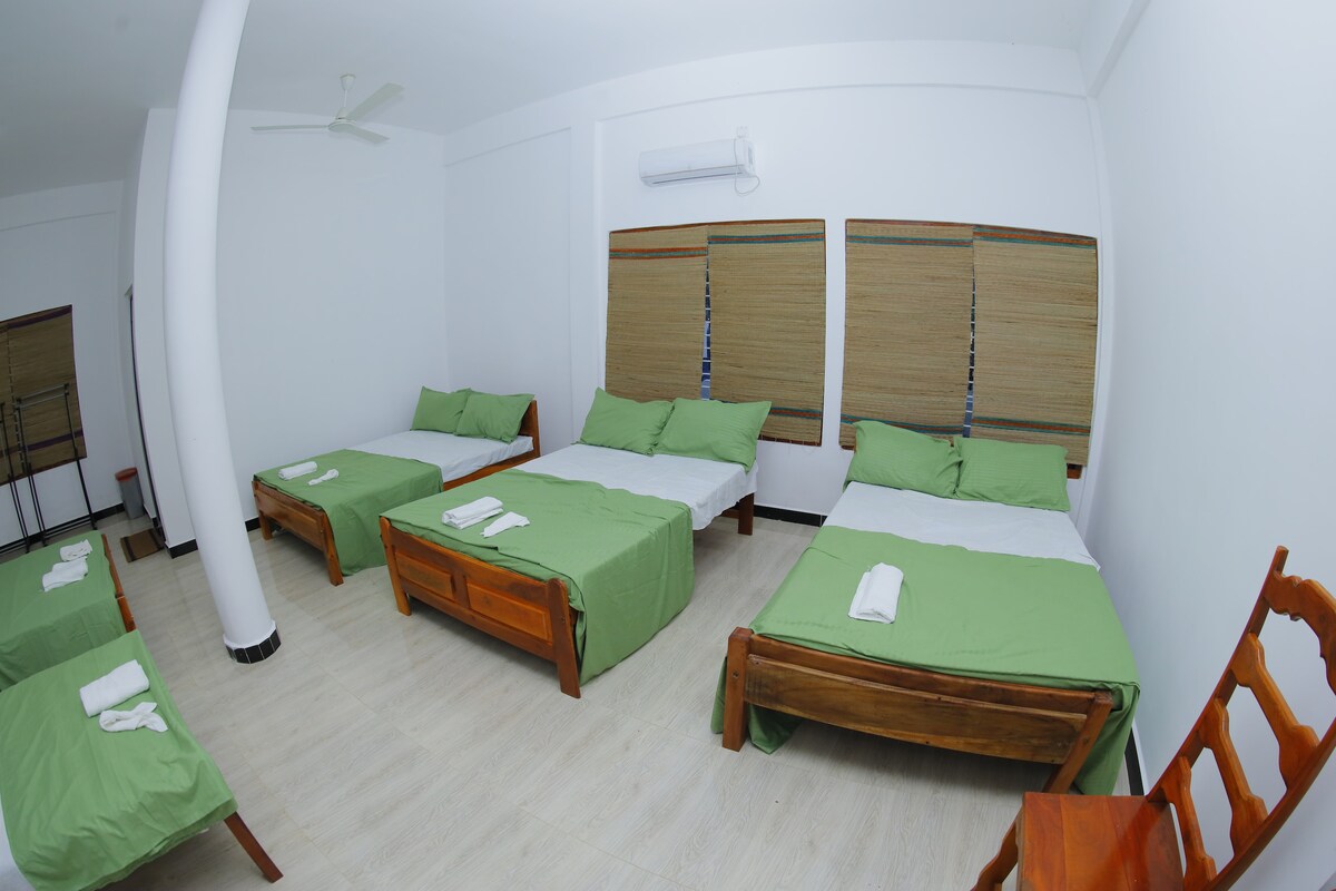 A spacious room is furnished with four wooden beds, each adorned with light green bedding. The beds are positioned around the room, allowing for clear pathways. Light streams in through two windows dressed with bamboo shades, enhancing the bright and airy environment.