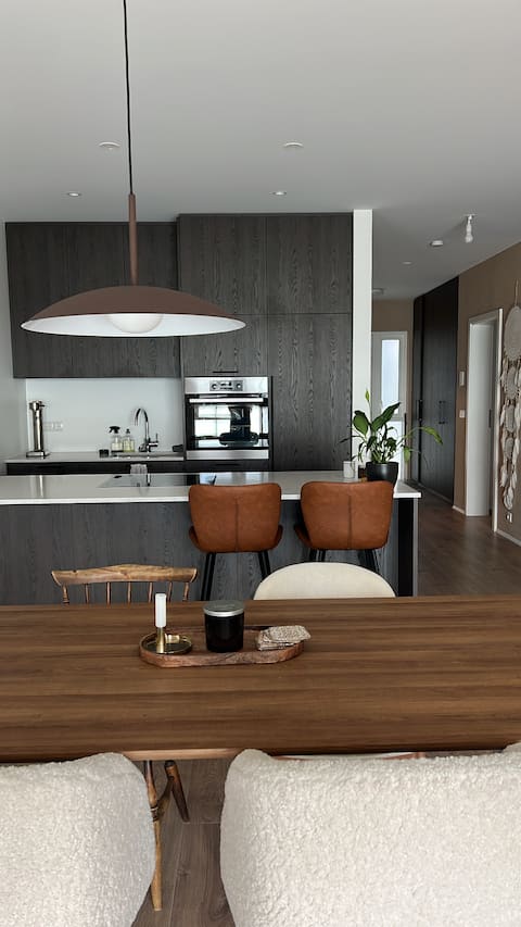 Spacious apartment close to airport