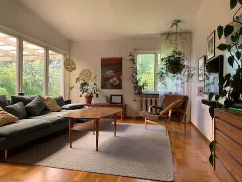 House in greenery, near river and city