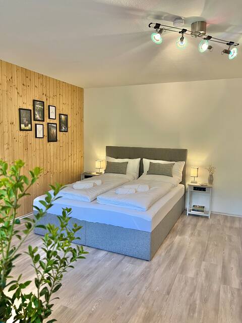 Hiking trails/ terrace & box spring bed