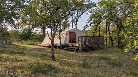 Glamping by Horizon Mohair, Tulipa space!