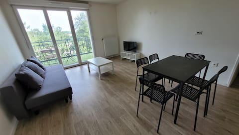 Successful Airbnb property: Flat for 6 persons 10 minutes from CDG Airport in Le Blanc Mesnil
