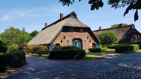Blaue Grootdoor