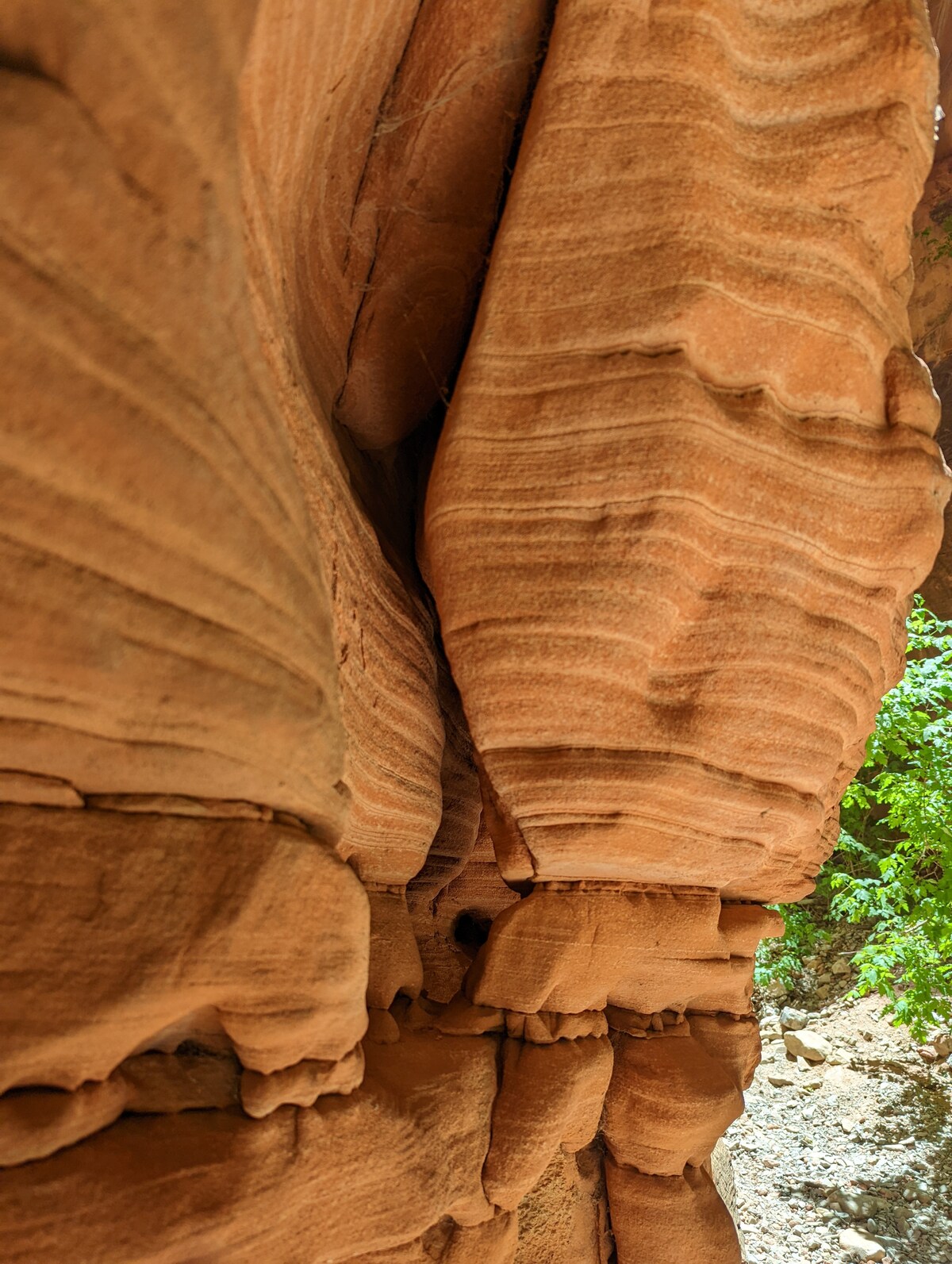 The image features a close-up view of textured, reddish-brown rock formations. Layered grooves and ridges create a striking visual pattern, with small patches of green foliage visible in the background, adding contrast to the earthy tones.