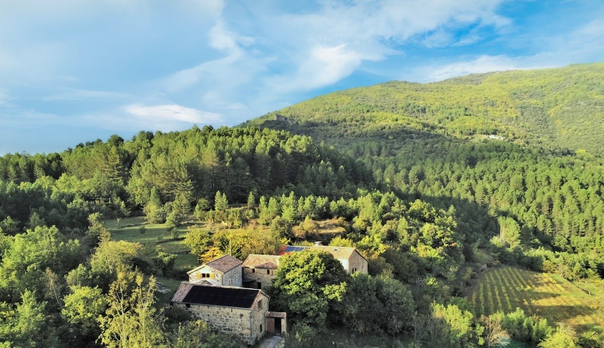 A panoramic view of a renovated stone farmhouse is displayed, surrounded by lush greenery and rolling hills. The expansive landscape stretches towards a gentle mountain, with patches of cultivated fields visible in the distance, showcasing the natural beauty of the Cévennes region.