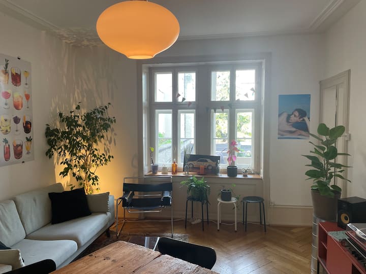 Authentic Basel Apartment - Lörrach