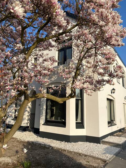 Beautiful stylish detached villa