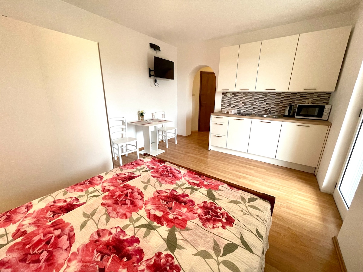 Studio Apartment Julie 6