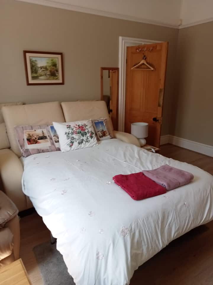 Private room with large comfy sofa bed Houses for Rent in County