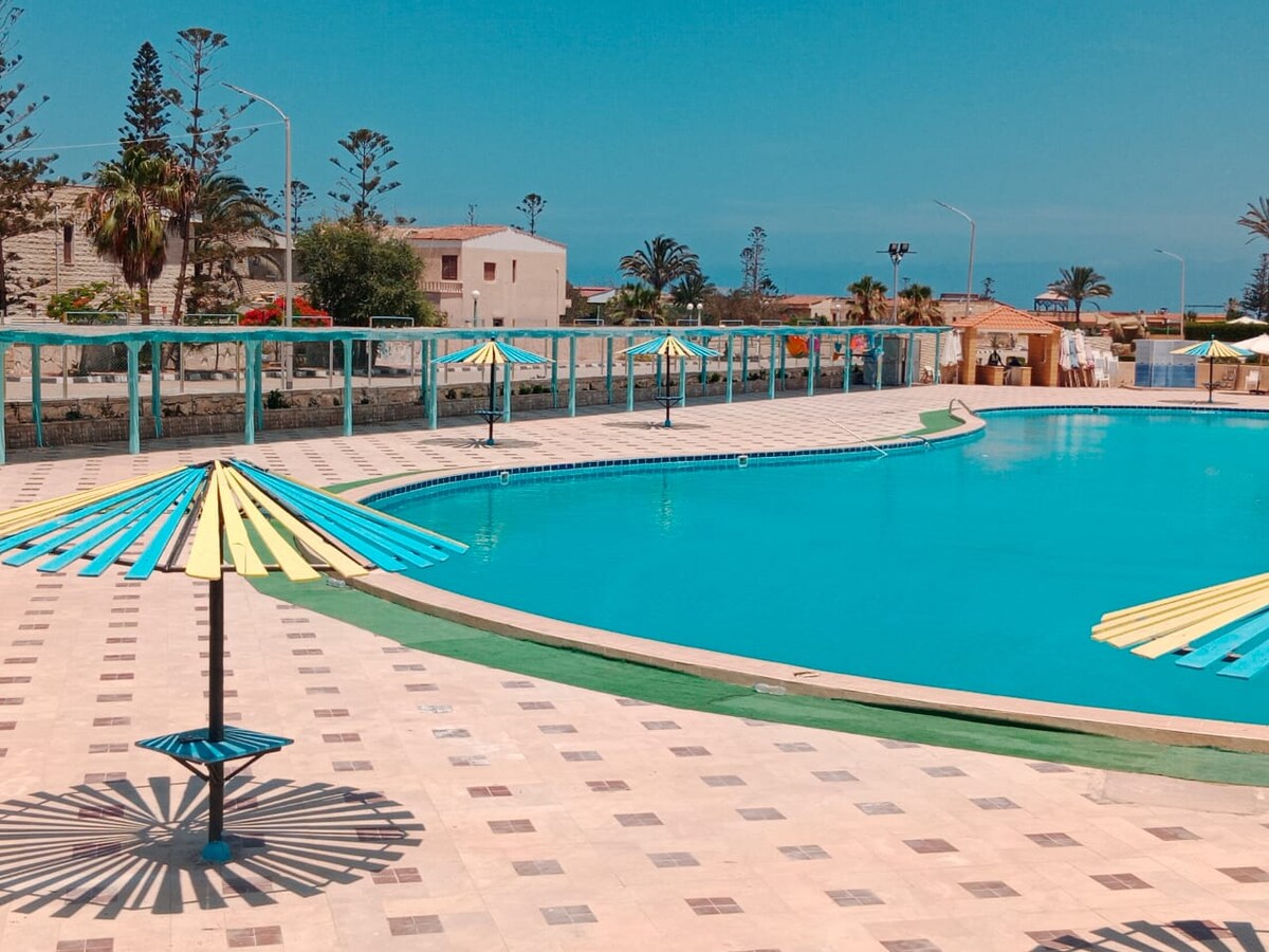 A spacious outdoor pool is surrounded by a tiled deck featuring several colorful umbrellas. The pool's clear water reflects the bright blue sky. Palm trees and distant buildings can be seen, creating a serene setting for relaxation.