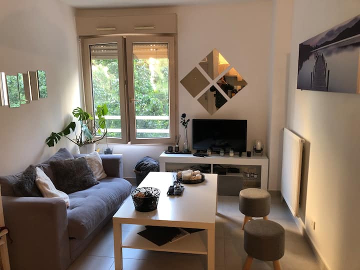 Centre Montpellier, Appt T2 Apartments for Rent in Montpellier