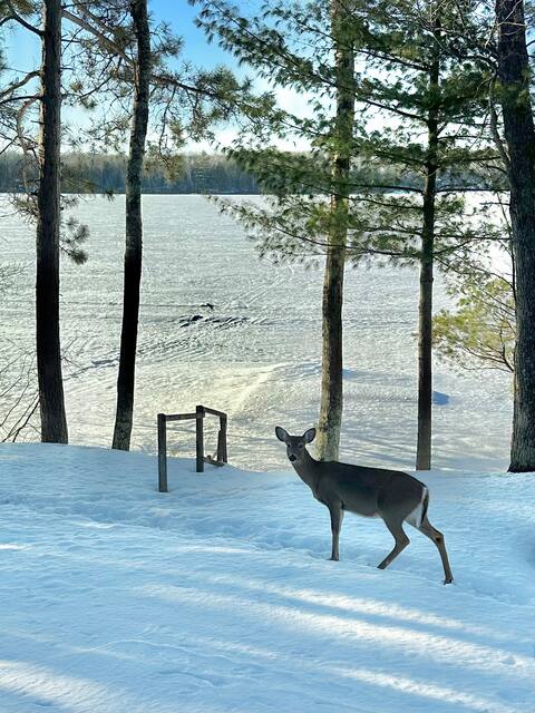 Winter Fun at the JacksInn