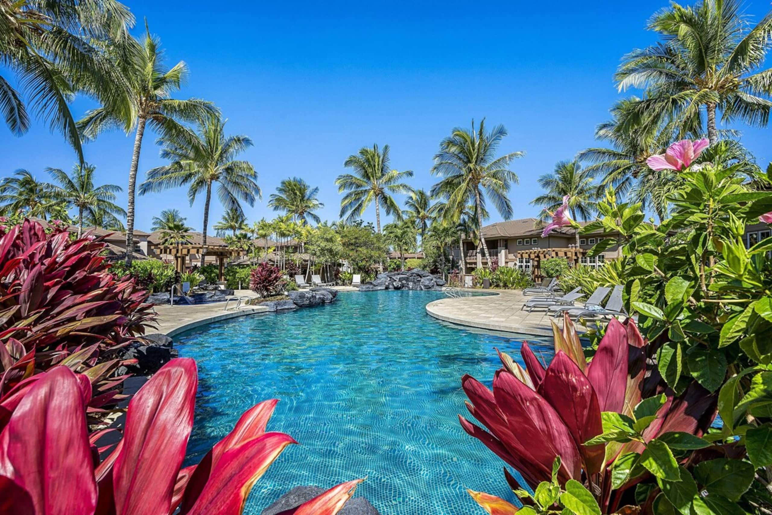 Peaceful and clean tropical retreat - Main photo