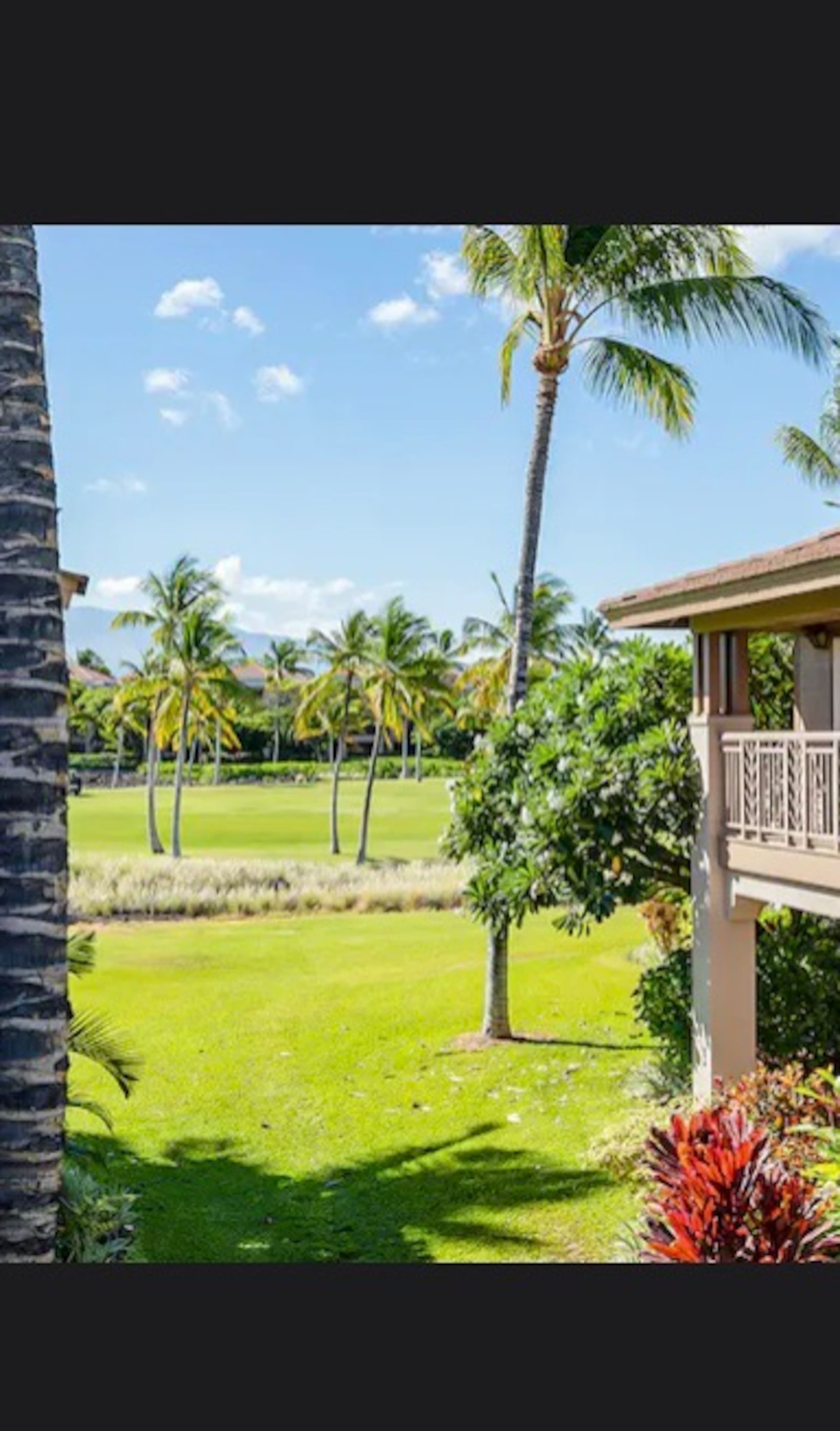 Peaceful and clean tropical retreat - Photo 23