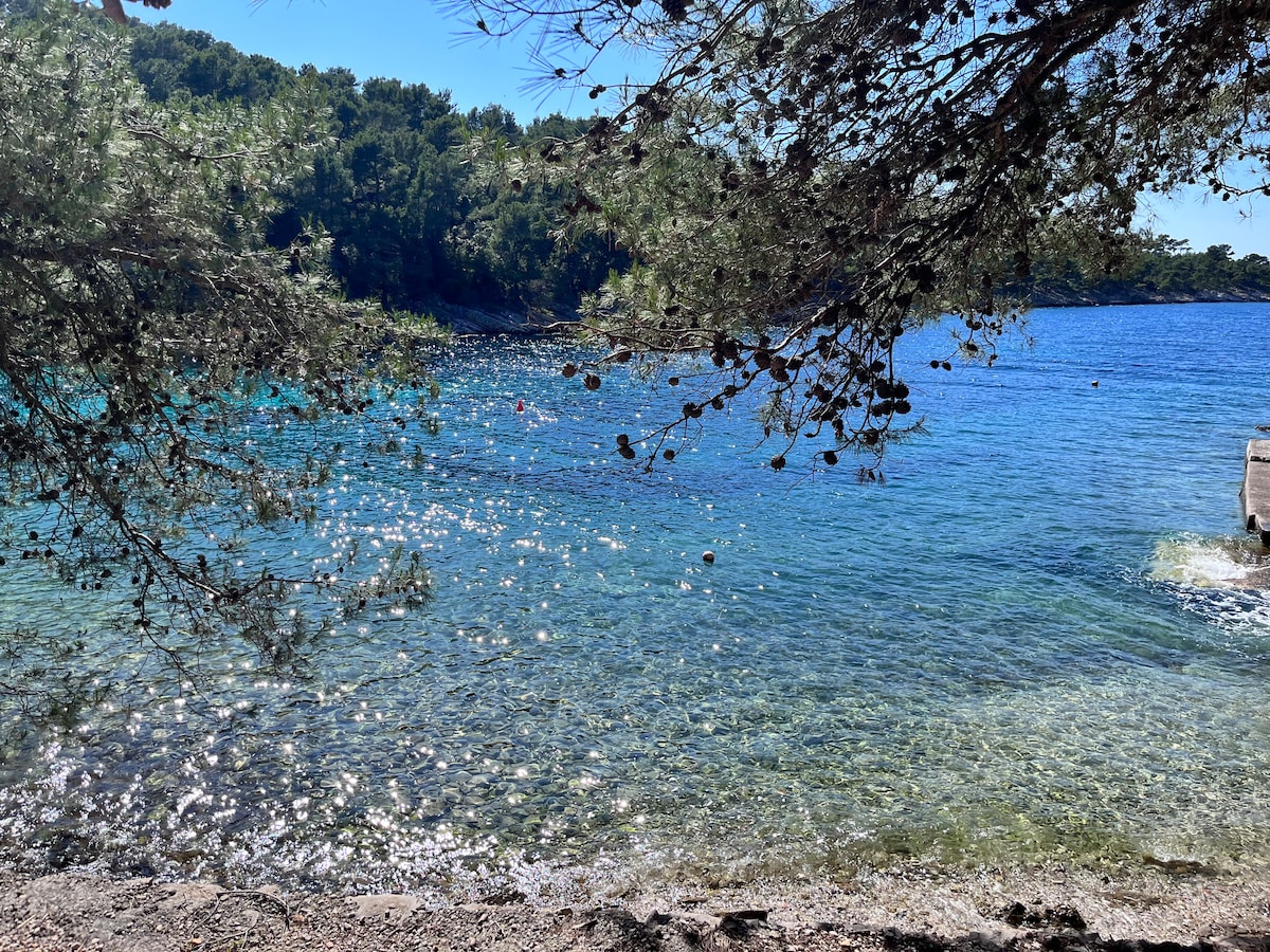 A serene view of a clear blue sea is framed by tree branches, with sunlight reflecting on the water's surface. The coastline reveals smooth stones and pebbles, leading to a gentle shoreline. Lush greenery is visible in the background, enhancing the natural setting.