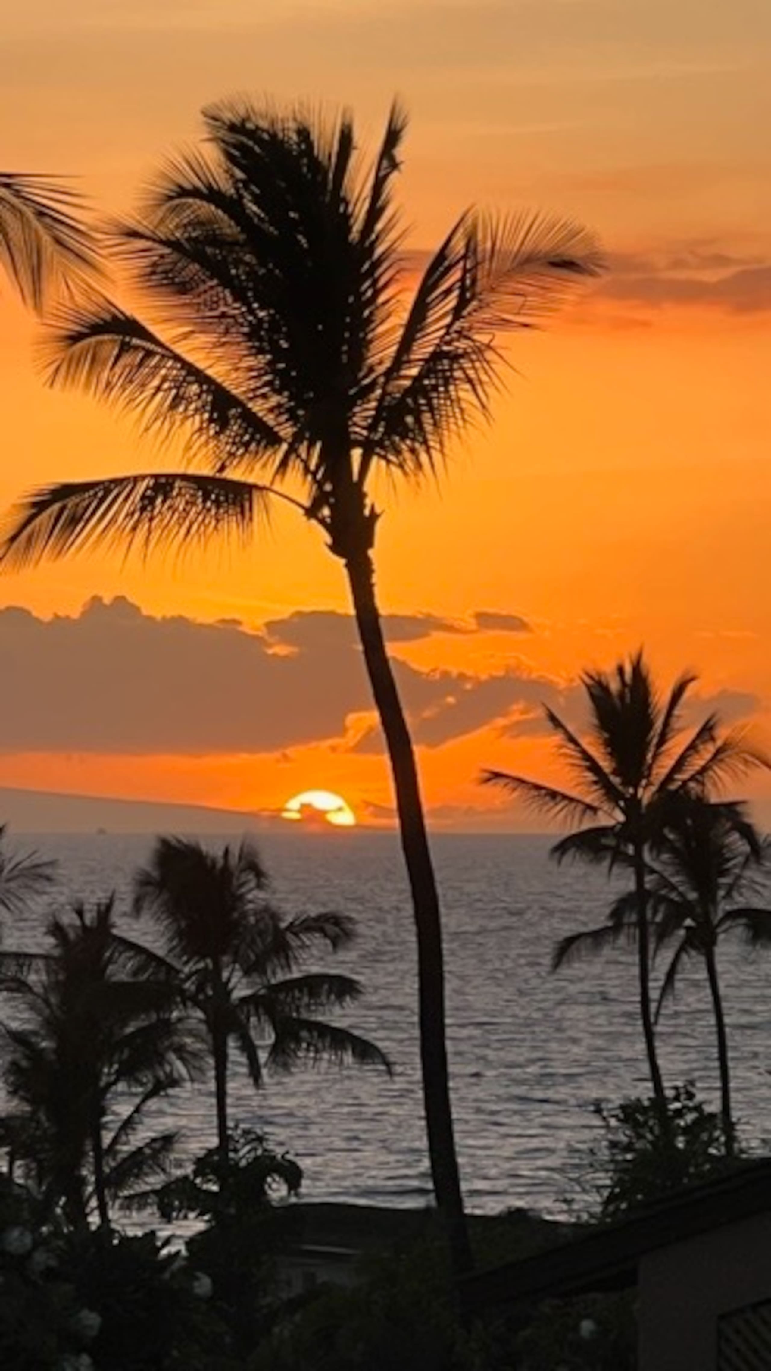 Wailea Ekahi 24C, Summer in Paradise in Style! - Image 24