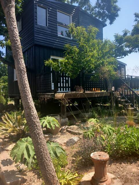 The Tree in the Cabin