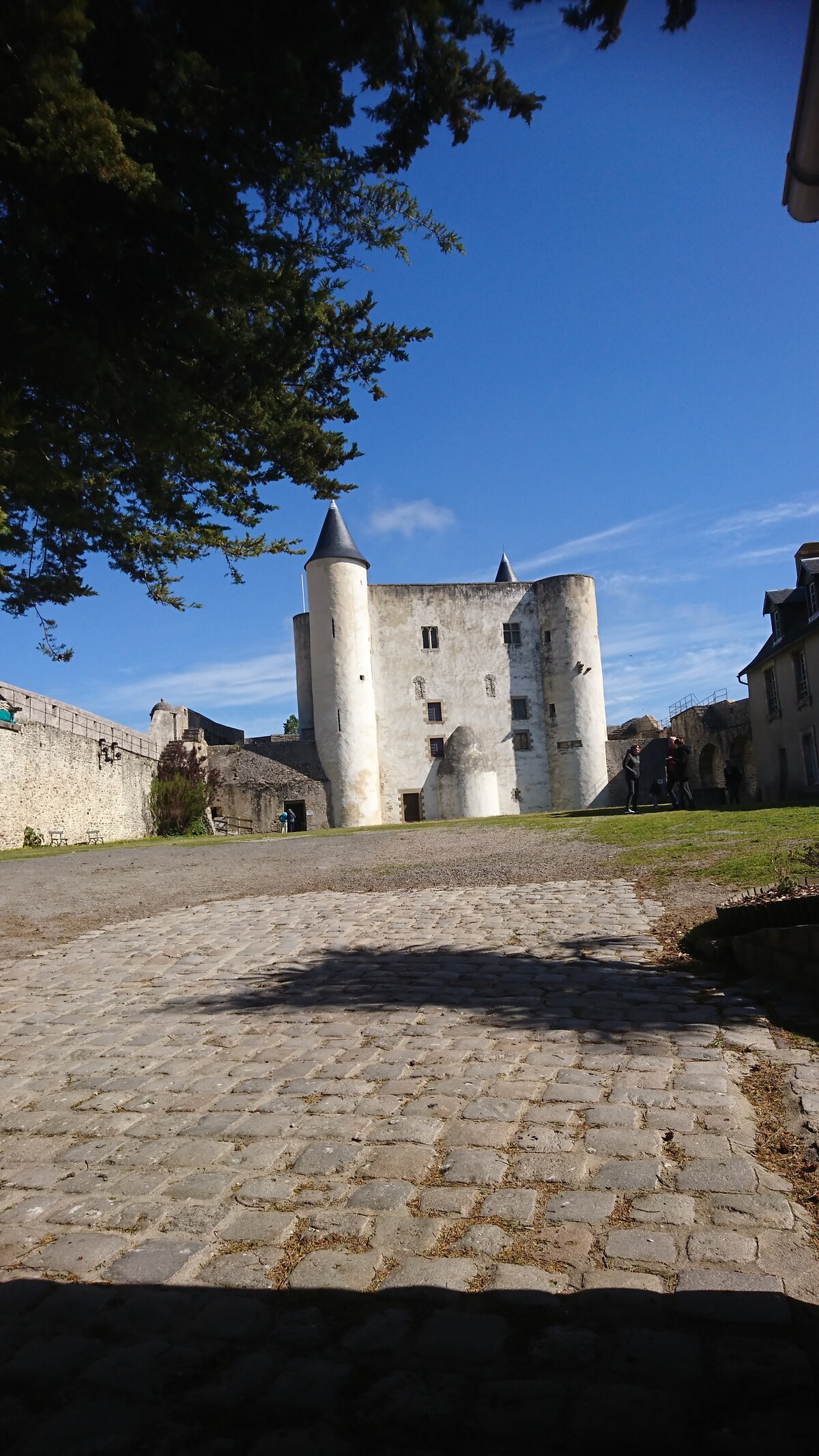 Top performing Airbnb: New house 900 m from the beach, the Perséide in Notre Dame De Monts