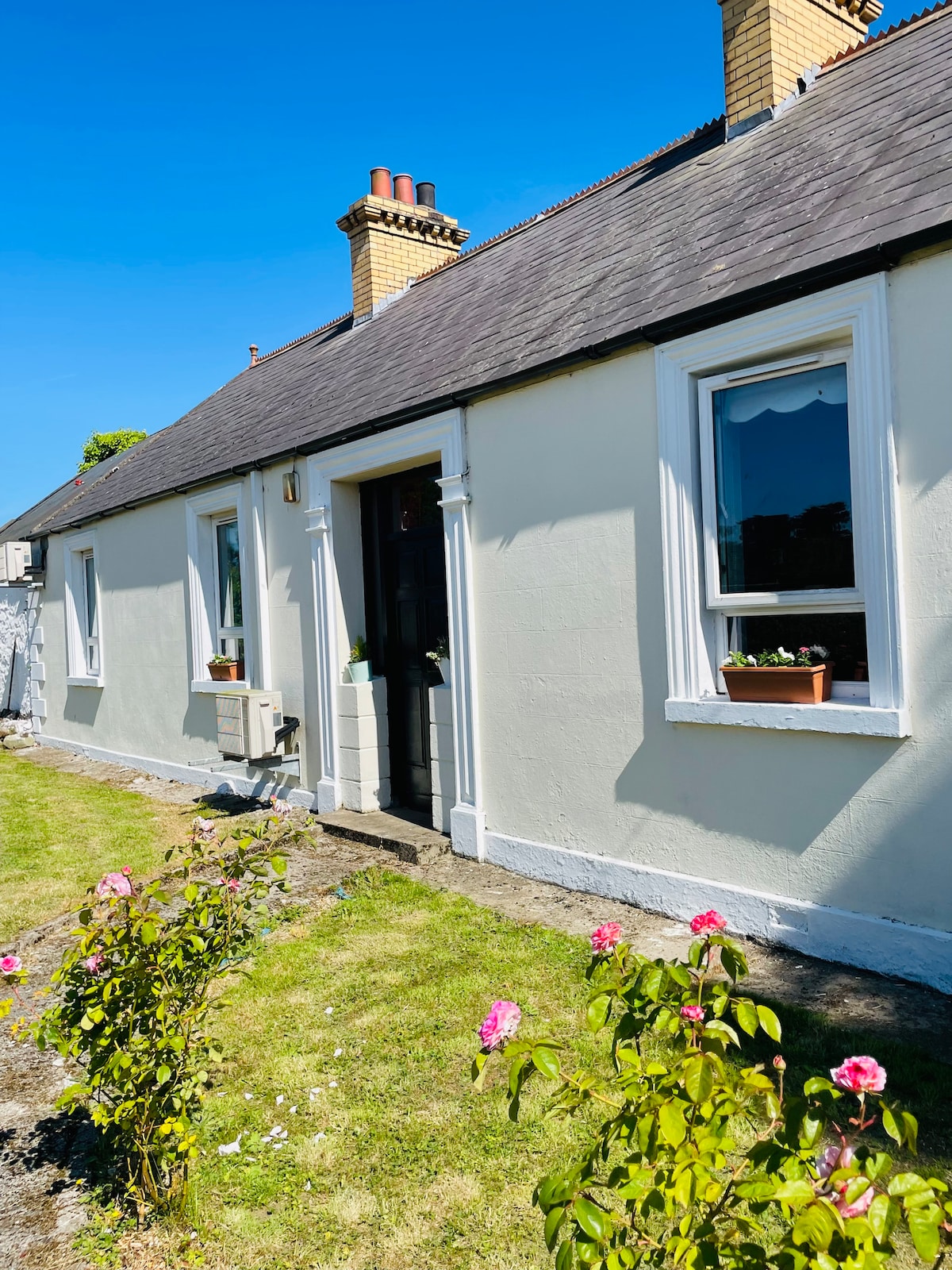 The cottage exterior features a charming façade with light-colored walls and a dark front door. Two windows are adorned with small potted plants. A well-maintained lawn is bordered by blooming rose bushes, creating a welcoming entryway on a clear blue sky day.