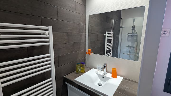 SDE во непосредна близина на главната спална соба со мијалник