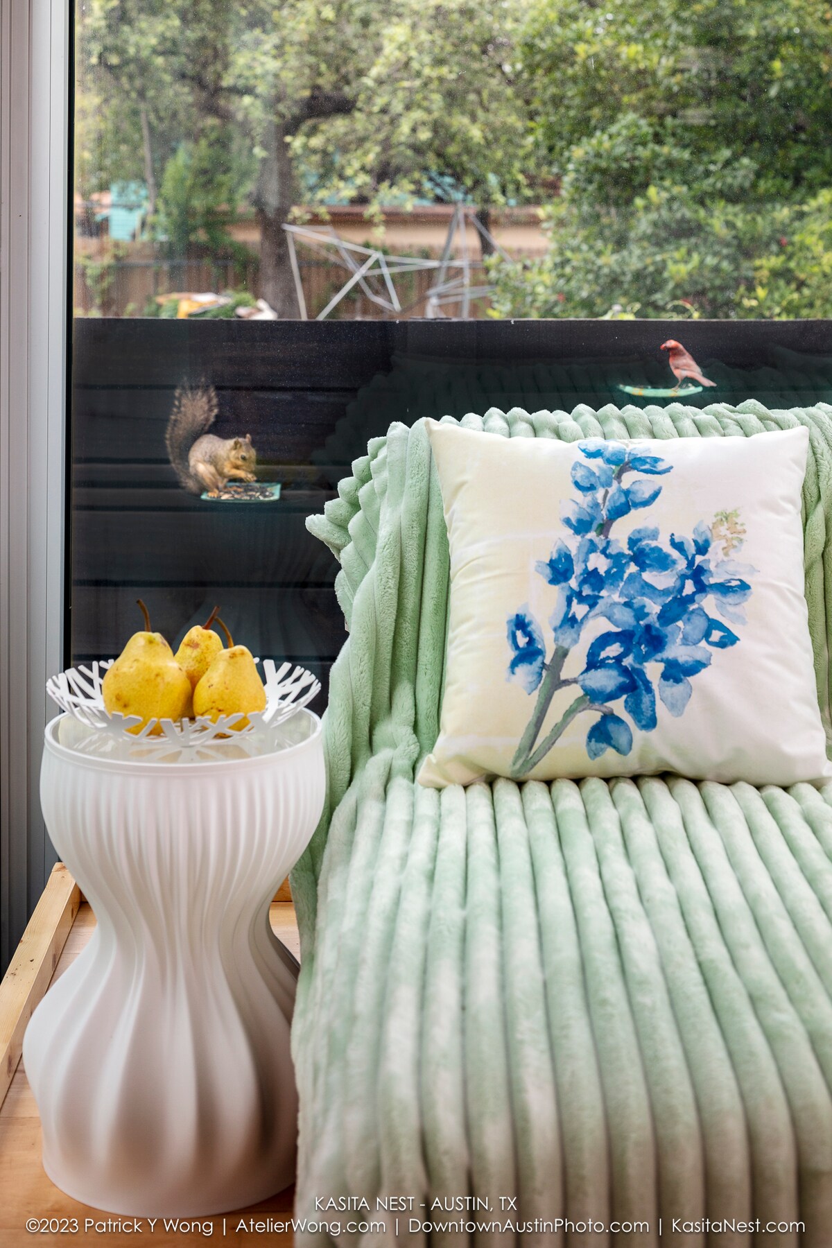 Проектирани в хармония с природата, гостите са изненадани от изобилния див живот, който съжителства в Kasita Nest.