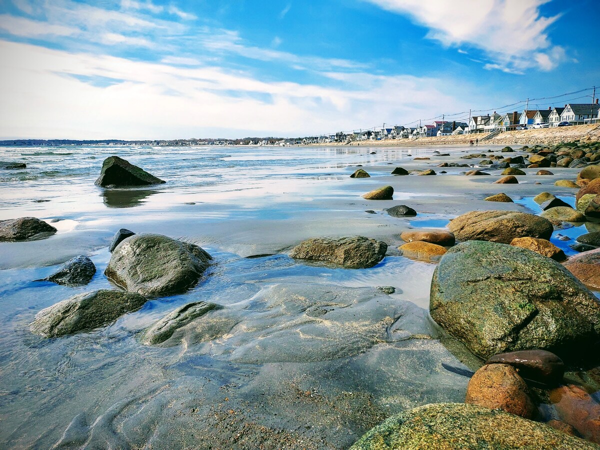 A rocky shoreline is depicted with various sizes of smooth stones scattered on wet sand. Gentle waves lap against the shore under a clear blue sky, while distant beach houses are visible along the coast. The scene evokes a tranquil seaside atmosphere.
