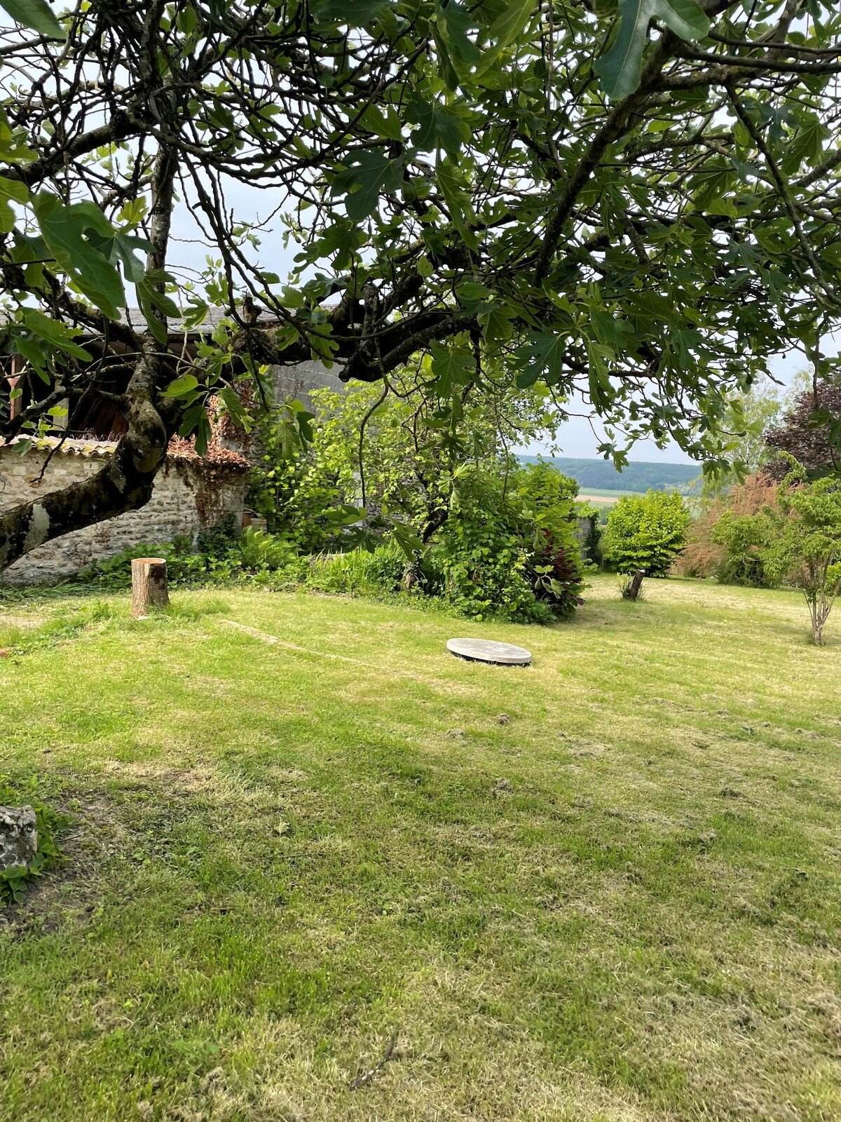 A grassy yard is dotted with trees and shrubs, providing a natural and serene environment. A circular stone feature is positioned in the foreground. A distant view of rolling landscapes is visible, set against the backdrop of the sky.