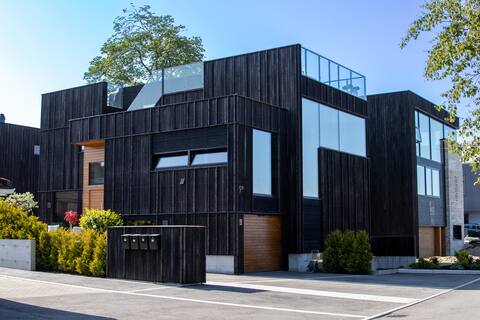 Luxurious, modern house