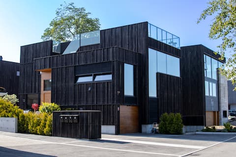 Luxurious, modern house