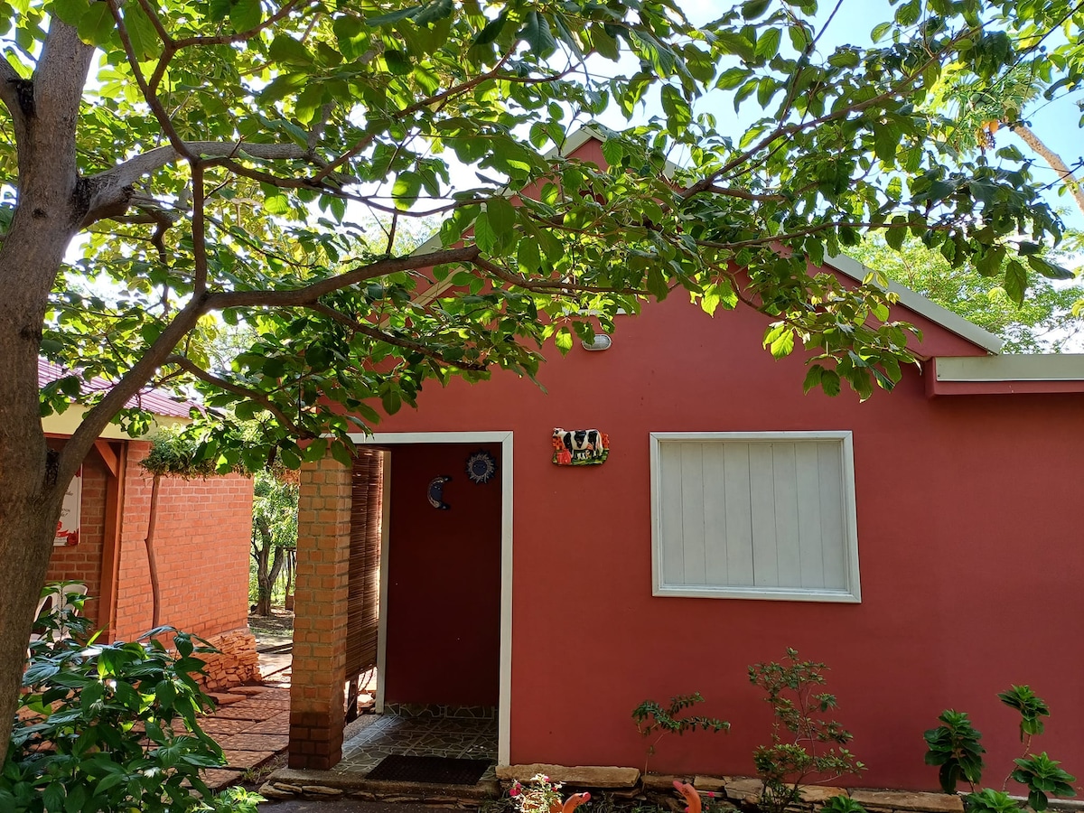 A quaint, pink cottage is nestled among lush greenery. The front is framed by a leafy tree, offering shade. A white window and a decorative house sign enhance the welcoming entrance. The path leading to the door is lined with small plants, inviting exploration.