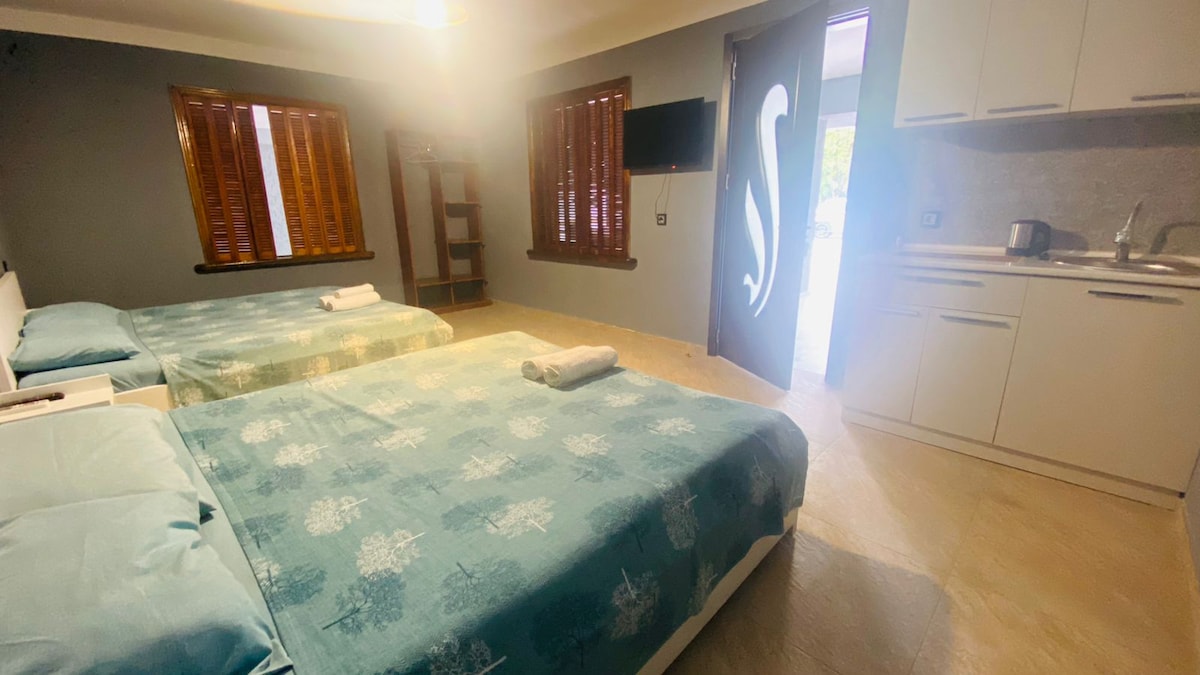 The room features two spacious beds with soft blue bedding, complemented by a neutral-toned floor. A set of wooden shutters and a wall-mounted TV are visible, along with a kitchenette in the background. Natural light enters through the door with a distinctive pattern.