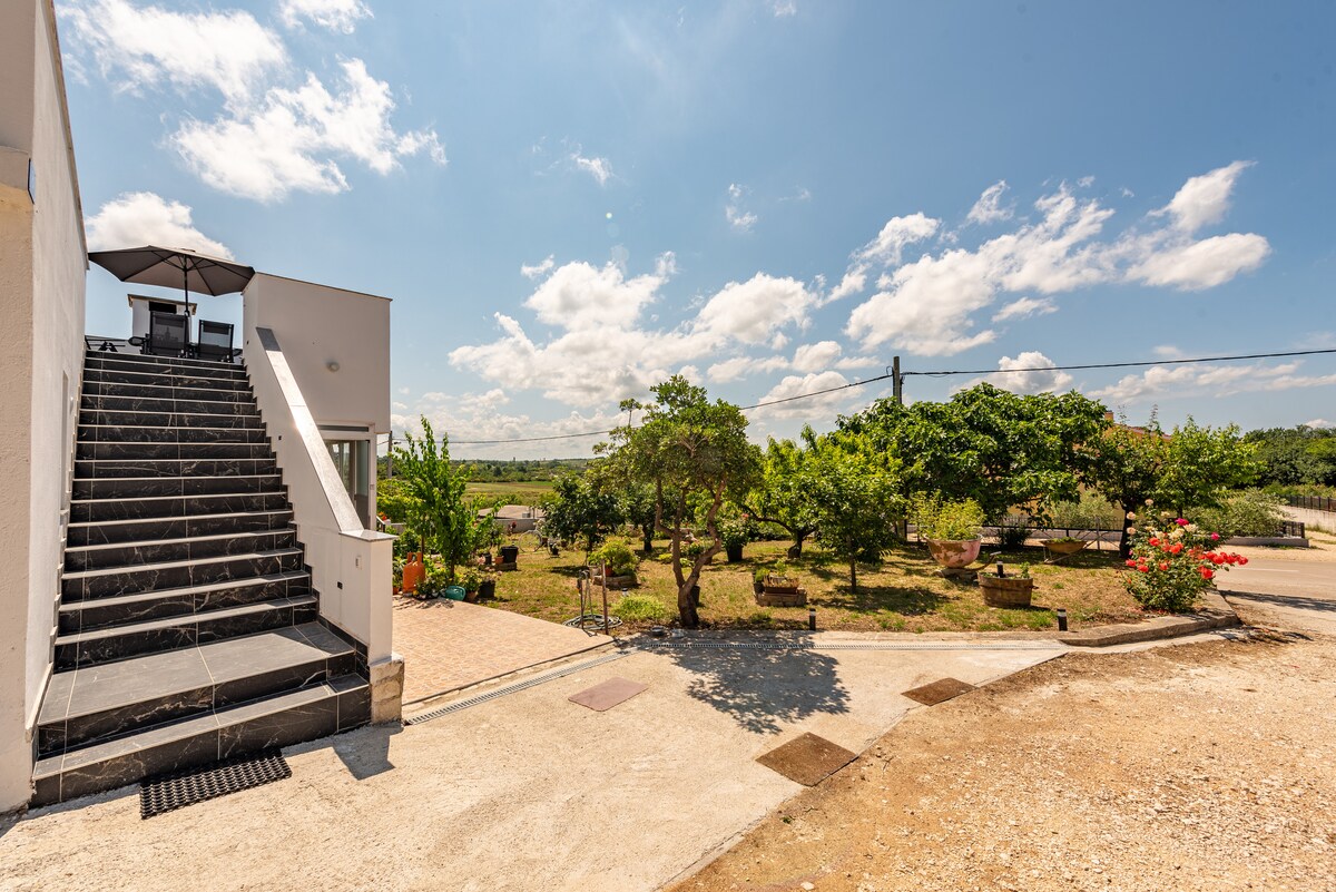 A spacious outdoor area is visible, featuring well-maintained greenery and a pathway leading up to a staircase. The sky is bright with scattered clouds, and outdoor seating options are situated under the shade of trees.