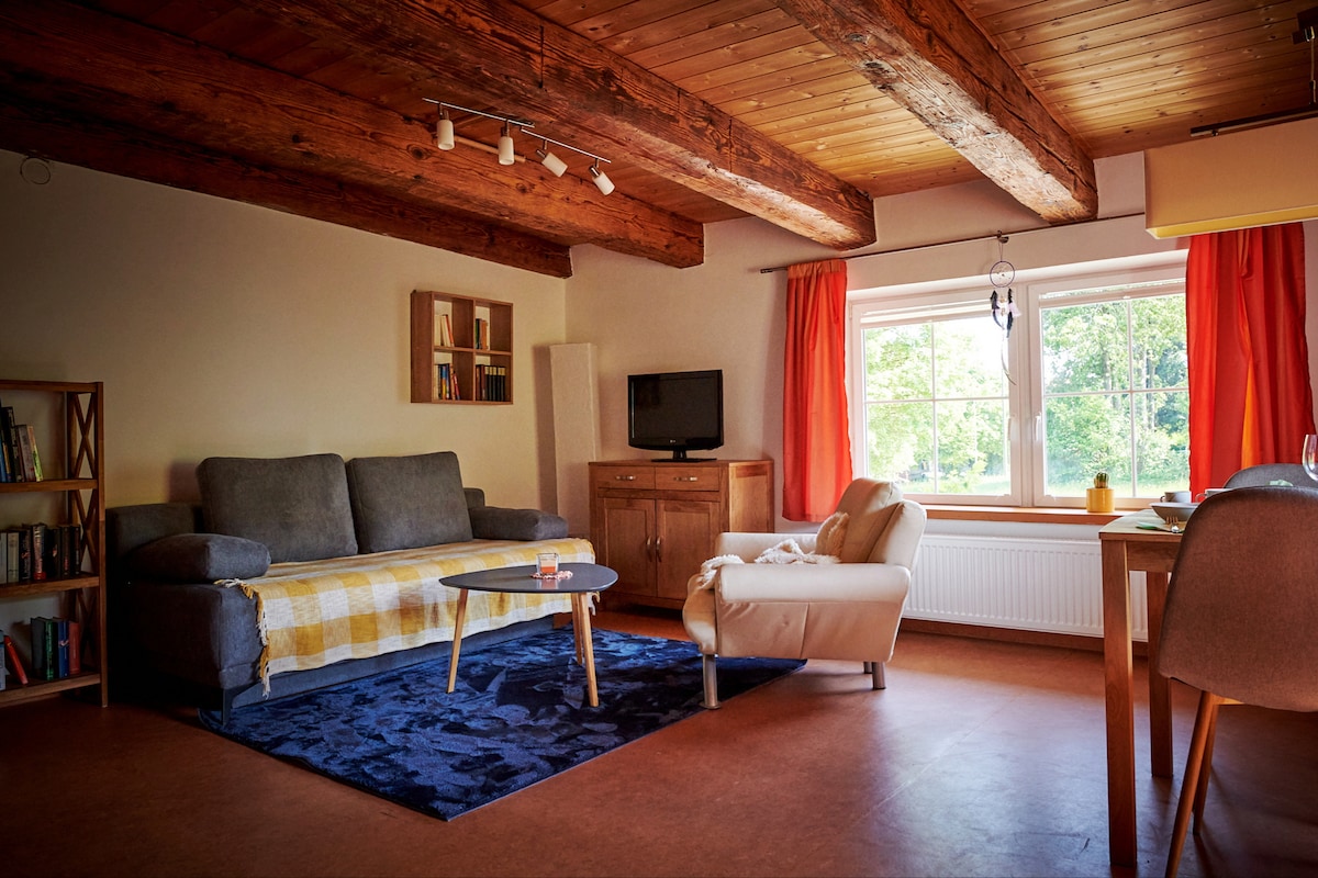 A spacious living area is highlighted by exposed wooden beams and large windows allowing natural light to fill the room. A comfortable sofa with a patterned blanket, an armchair, and a small table create a relaxed seating arrangement. A bookshelf and television add to the cozy ambiance.